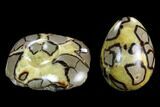 Polished Septarian Egg with Stand - Madagascar #120257-2